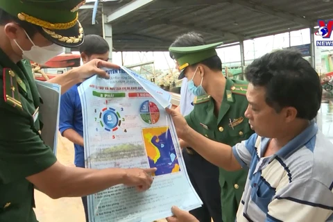 Ba Ria-Vung Tau working to remove EC’s yellow card on illegal fishing