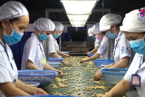 Vietnam named among 30 largest commodity import-export economies