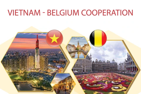 50th anniversary of Vietnam - Belgium diplomatic relations