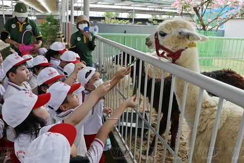 Unique zoo in Ninh Thuan