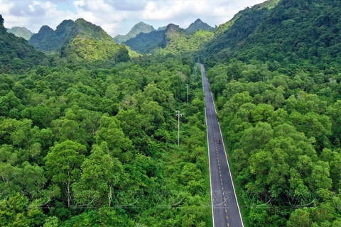 Cat Ba National Park serves as a lung amid the ocean