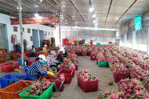 Trade via Lao Cai border gate thrives in Q1