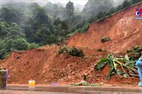 Last victim’s body in Lam Dong landslide discovered