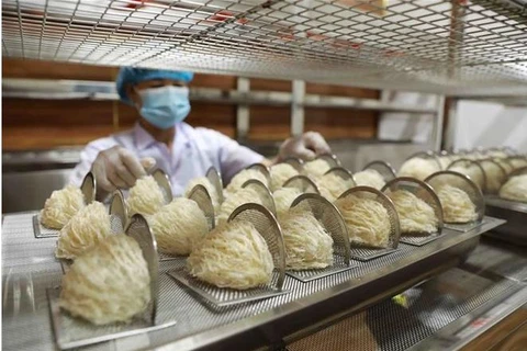 First Vietnamese bird’s nests exported to China 