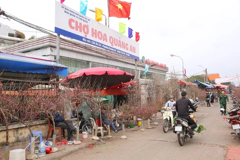 Hanoi’s Quang An flower market busier ahead of Tet