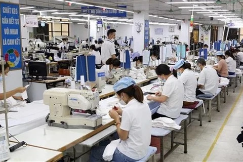 HCM City's labour market flexibly adapts to pandemic