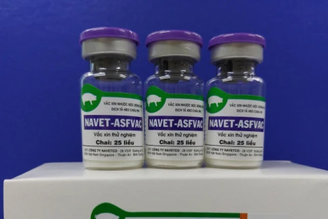 Vietnam successfully produces African swine fever vaccine