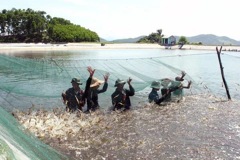 Hanoi harvests over 25,000 tonnes of aquatic products in first quarter