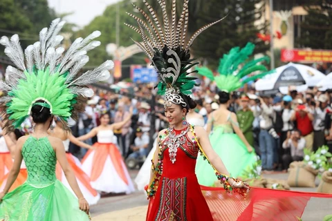 Coffee carnival dazzles people in Buon Ma Thuot city