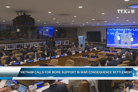 Vietnam calls for more support in war consequence settlement