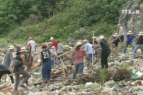 Youth join hands to clean up Son Tra peninsula