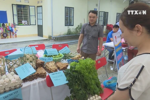 More efforts needed to develop agriculture in Bac Kan