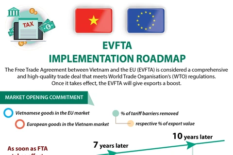 EVFTA implementation roadmap