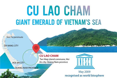 Cu Lao Cham: Giant emerald of Vietnam's sea