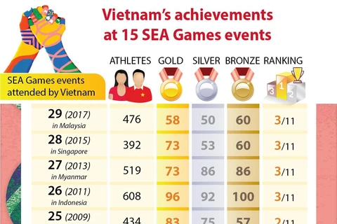 Vietnam’s achievements at 15 SEA Games events