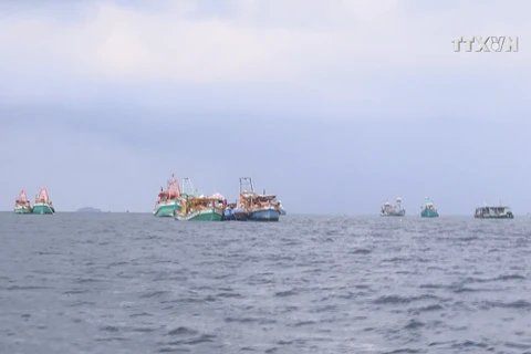 EC recognises Vietnam's improvements in combating IUU fishing