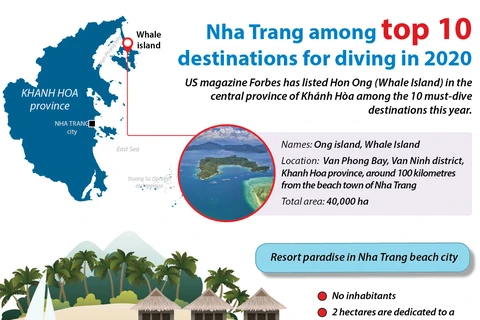 Nha Trang among top 10 destinations for diving in 2020