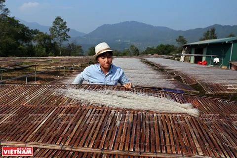 Phia Den mountain: Hometown of glass noodles