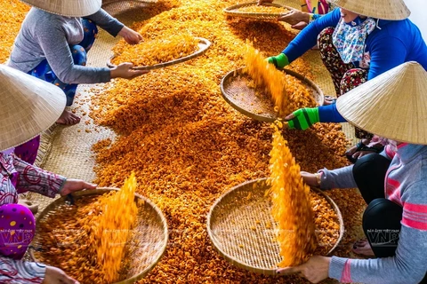 Vietnam’s capital of shrimp farming