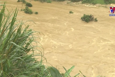 Safer houses help overcome floods along Thu Bon River