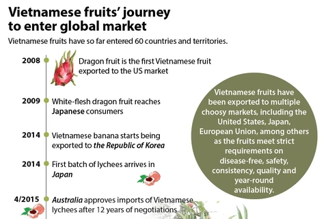 Vietnamese fruits' journey to enter global market