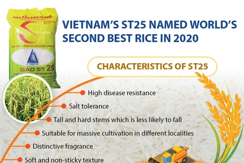Vietnam’s ST25 named world’s second best rice in 2020