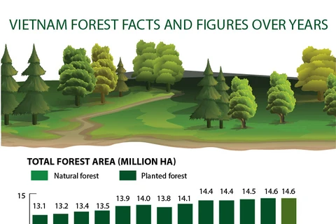 Vietnam forest facts and figures over years