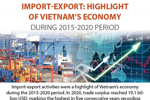 Import-export: Highlight of Vietnam’s economy during 2015-2020