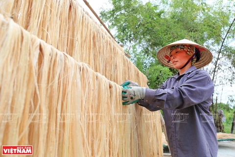 Vietnamese banana fibers reach out to world market