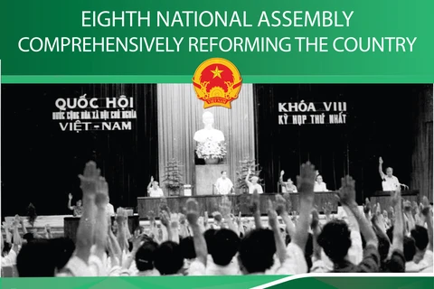 Eighth National Assembly: Comprehensively reforming the country
