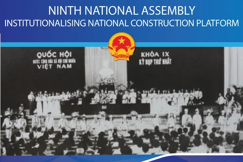 Ninth National Assembly: Institutionalising national construction platform