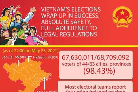 Vietnam's elections wrap up in success