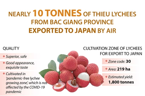 Bac Giang exports nearly 10 tonnes of Thieu lychees to Japan
