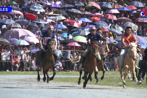 Efforts made to preserve Bac Ha horse racing festival