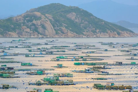 Binh Ba – ‘Island of lobster’ on Cam Ranh Bay