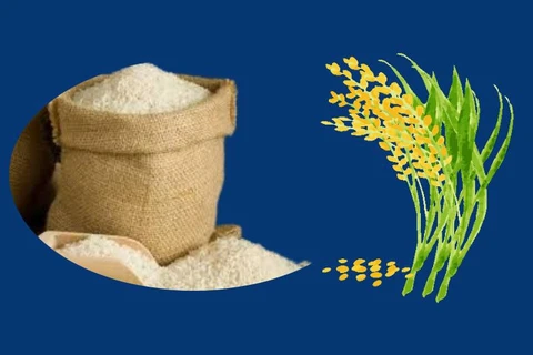 First 9 months of 2023: Rice exports rise 40.4%