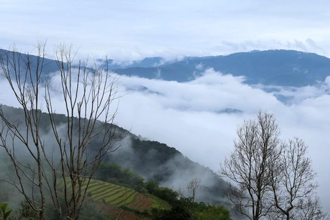Lost in a cloud hunting paradise in Ka Lang