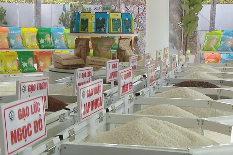 Rice exports expected to hit 5 billion USD this year