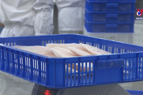 More aquaculture establishments allowed to export to markets