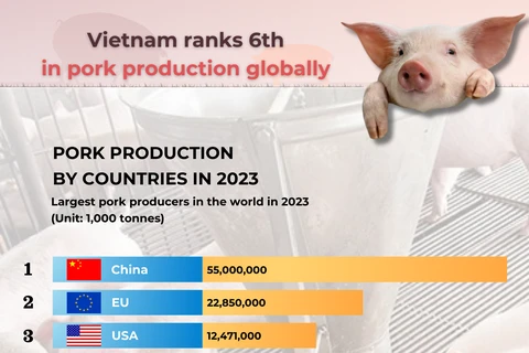 Vietnam ranks 6th in pork production globally