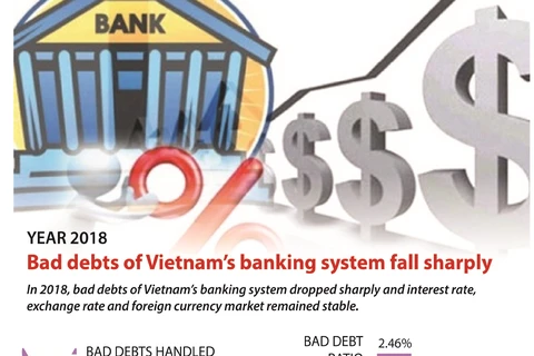 Vietnamese banks' bad debts fall sharply in 2018