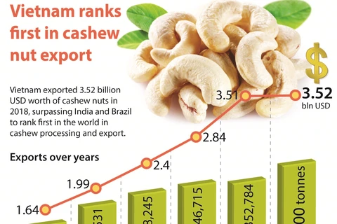 Vietnam ranks first in cashew nut export