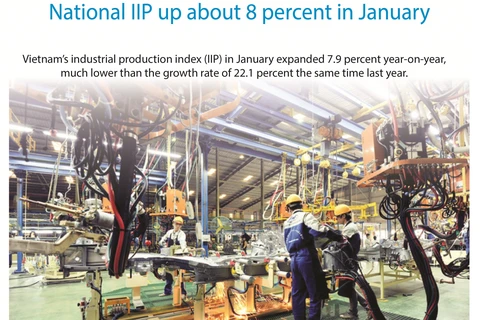 National IIP up about 8 percent in January