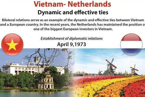 Vietnam- Netherlands: Dynamic and effective ties