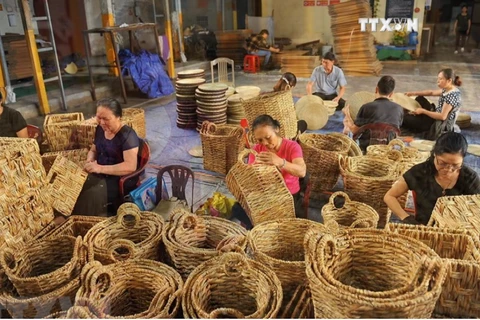 Aquatic plant creates unique handicraft items