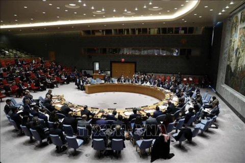 Vietnam has chance to win non-permanent UNSC seat 