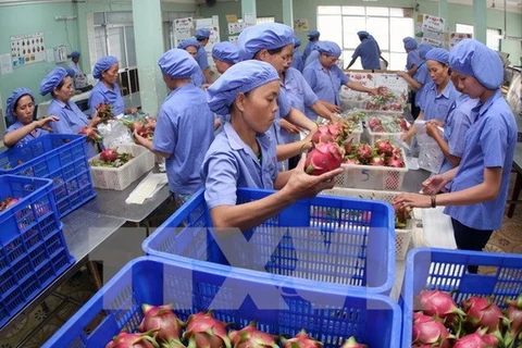 Fruit, vegetable exports top 1.6 billion USD