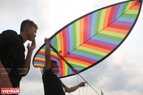 Colourful kites flaunt beauty at competition
