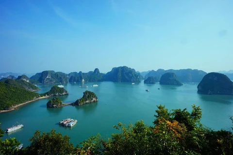 Vietnam tourism strives to earn over 30 billion USD 