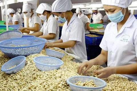 Cashew nut exports to China surge 